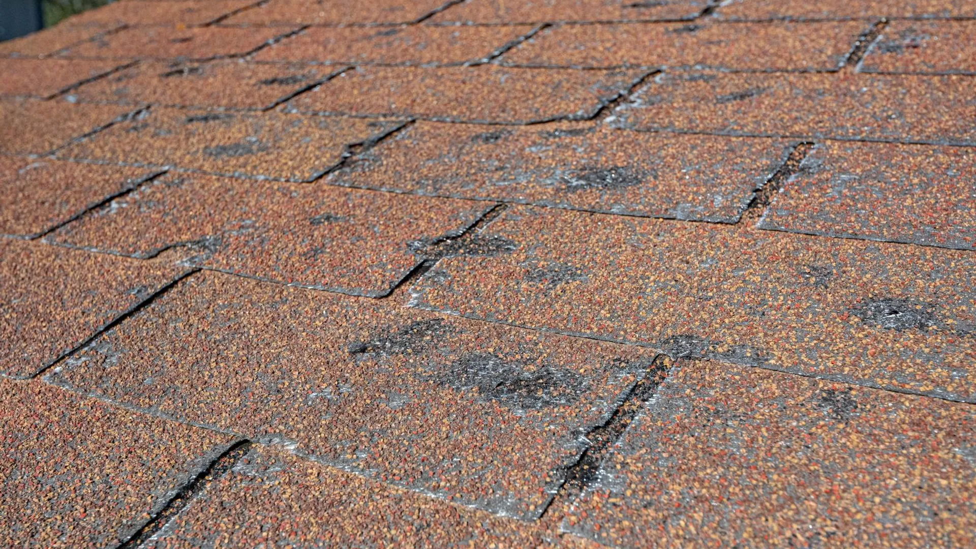 roof inspection